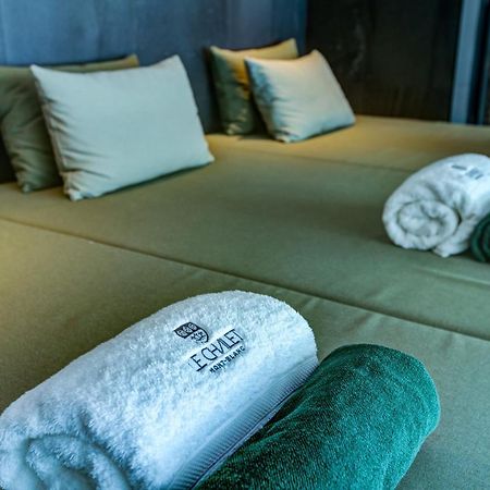 ليز أوش Le Chalet Mont Blanc المظهر الخارجي الصورة